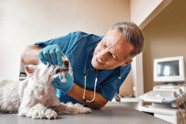 Best Emergency Tooth Extraction in Elkton, VA